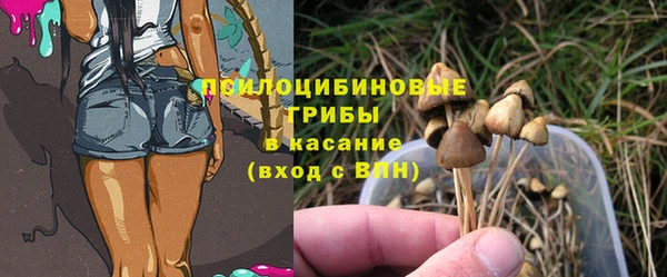 соль ск Балабаново