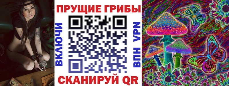 Псилоцибиновые грибы Cubensis  кракен сайт  Кущёвская 